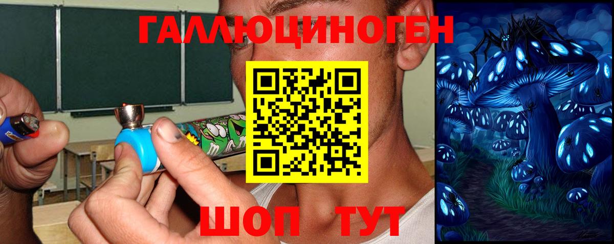 Галлюциногенные грибы мицелий Берёзовский